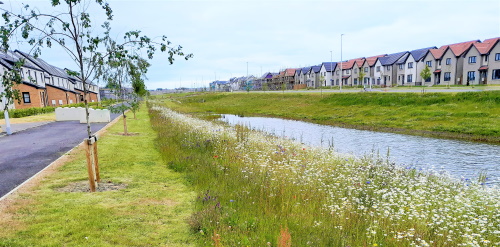 This image: This image shows a photo of another Hargreaves Land residential scheme, with a SuDs basin 
					in the foreground.
					The map: The map has zoomed into the north-eastern part of the site, overlaid with an indicative drainage plan.
					There are interactive markers which show illustrative photos of different wildlife habitats when clicked on.